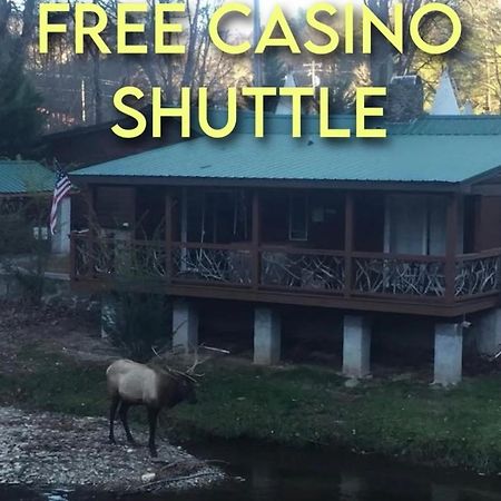 Qualla Cabins And Motel Cherokee Near Casino Whittier Exteriör bild