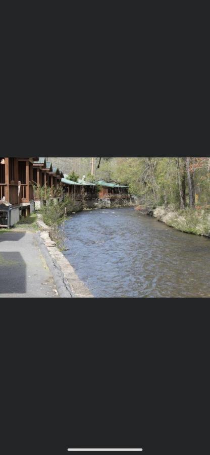 Qualla Cabins And Motel Cherokee Near Casino Whittier Exteriör bild