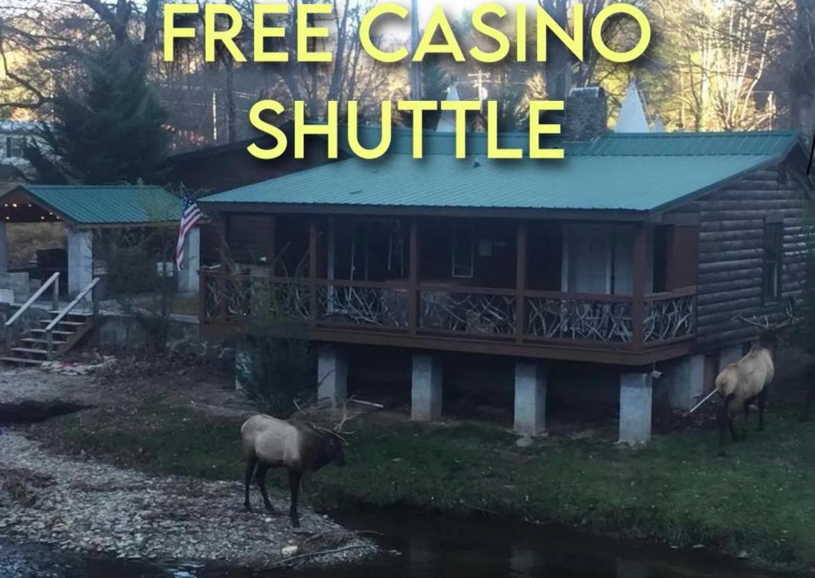 Qualla Cabins And Motel Cherokee Near Casino Whittier Exteriör bild
